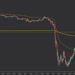 2024-12-29 17_47_19-Chart – vWAP Indicator for NT 8